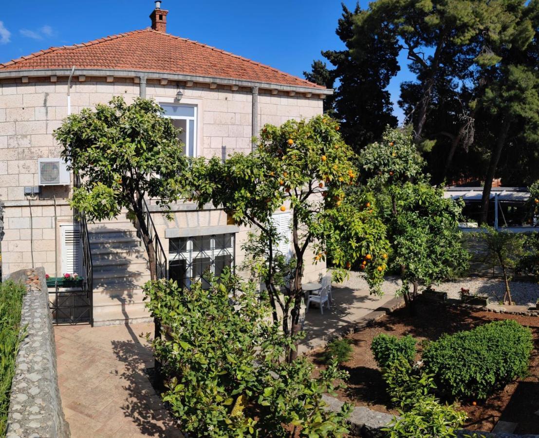 Villa Arancia Dubrovnik Dış mekan fotoğraf