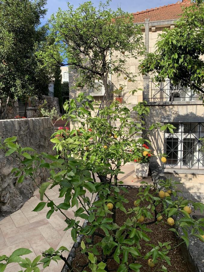 Villa Arancia Dubrovnik Dış mekan fotoğraf